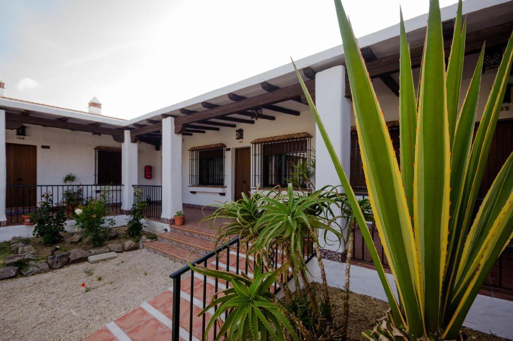 Hacienda Puerto Conil Apartman Conil de la Frontera Kültér fotó